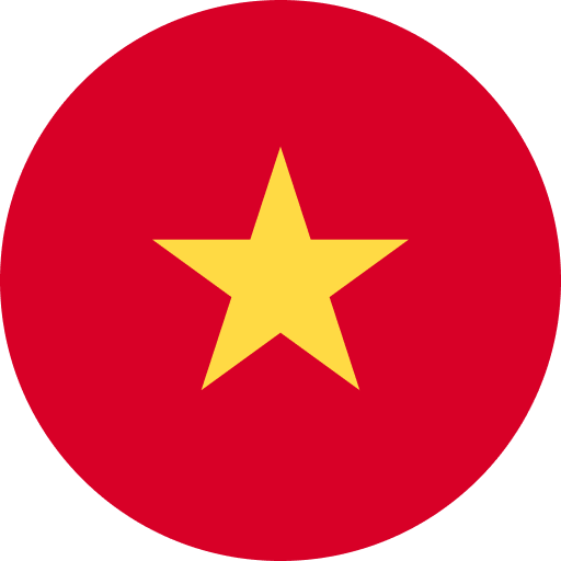 Da Nang Flag